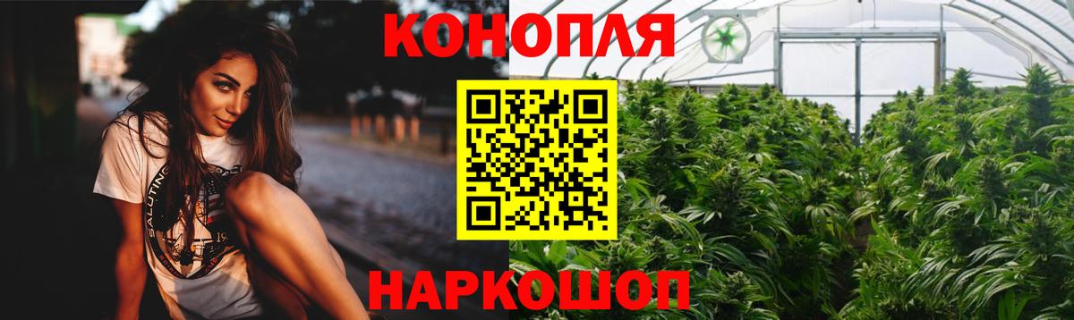 Шишки марихуана сатива  Вход с VPN  Конопля план  Осинники  Канабис SATIVA & INDICA  МАРИХУАНА OG Kush 